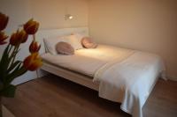 Appartamento su 2 Livelli