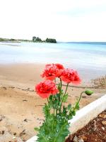 House GITA - B&B Mrljane