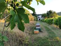 B&B Dovadola - Naturaliterre BnB - Microfattoria - Bed and Breakfast Dovadola