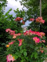 Beehives - B&B Kutaisi