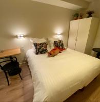 Comfort Kamer - Rode Vis