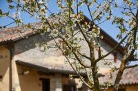 La Rosa - Bed and Breakfast