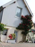 Gite les Orchidées - B&B Honfleur