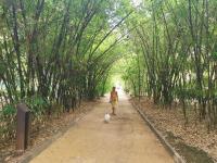 Home2Book Charming Apartment Santa Cruz, Wifi - B&B Santa Cruz de Tenerife