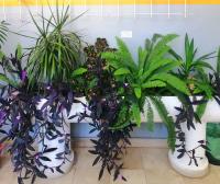 Apartman Monika - B&B Split