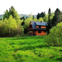 DoMarka całoroczny dom w Bieszczadach - B&B Wetlina