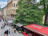 Spacious Tuzlaks Apartments Sarajevo Ferhadija - B&B