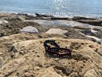 Appartement agreable et zen - B&B Boulogne-sur-Mer