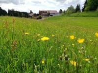 Stockreutehof - Bed and Breakfast Sulzberg