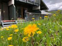 Le Chalet d'Aurouze 103, Appartement 6 personnes - la Joue du Loup - Chambres d'hôtes La Joue du Loup