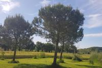Appartement individuel rez de jardin 3 a 5 personnes proche Albi - B&B Cadalen
