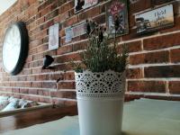 Apartment Radosevac Beach - B&B Split