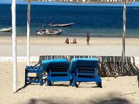 White Lion -the only one- - B&B Malindi