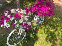 Apartman Mia - Chambres d’hôtes Vukovar