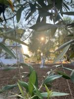 Doppelzimmer mit Parkblick