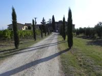 Agriturismo Le Ginestruzze - Ferienwohnung Montespertoli