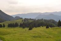 Apartment mit 2 Schlafzimmern