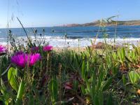 CASA LA TANCA - B&B Isola Rossa