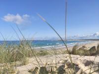 G3 Gamboa Beach Houses - B&B