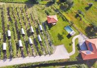 Cimo da Vinha - Nature Spot - B&B