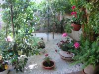 Studio Apartment Lile - B&B Trstenik