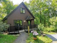 B&B Carmarthen - PrancingHare Lodge-Woodland Lodges-Pembrokshire - Bed and Breakfast Carmarthen