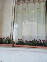 casa giardino - Ferienwohnung