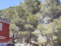 Casa Solanas N. 2 - B&B Solanas