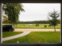 Appartamento con Vista Giardino