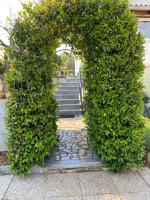 Apartmani Marinac - B&B Parenzo