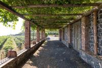 La Gelsomina - Etna - B&B