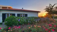 Coja Mountain Perch - B&B Vinho