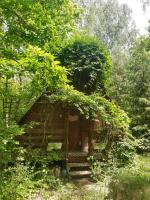 Domek w lesie - Ferienwohnung