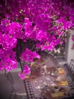 Le Dimore in Piazzetta - B&B Massafra