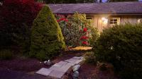 The Redwood Guesthouse at the Floras Lake Getaway - B&B