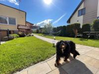Apartament Cicho Sza - B&B