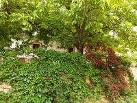Cortijo Ramon Petra - Bed and Breakfast