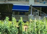 Casa Arienzo - B&B Positano