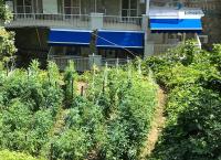 Casa Laurito - Bed and Breakfast Positano