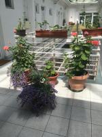 Studio with Balcony