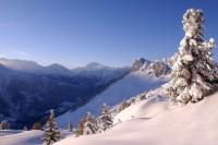 Chalet Castellani Duplex - B&B Fiesch