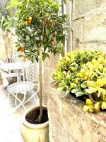 MOVIE SUITE Ortigia - Chambres d’hôtes Syracuse