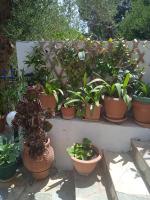 Habitación Doble con vistas al mar