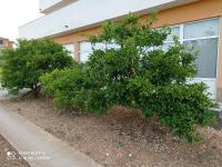 Apartmani Barišić - B&B Trogir