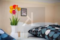 Camper Park Kopań - B&B Darłowo