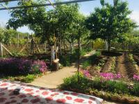 Бунгало- Bungalow-Каварна - B&B Kavarna