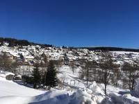 Apartment with Mountain View