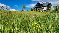 Bergvilla Oberon - Your Austrian Home - B&B Bad Aussee