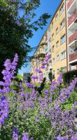 Apartament Sunwave Władysławowo - B&B
