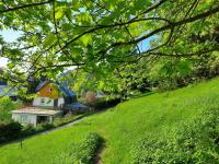 Pension Apartmány Harrachov 288 - B&B Harrachov